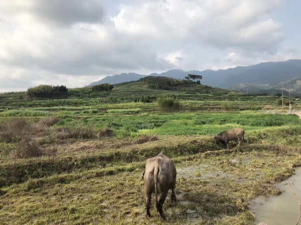 深圳遺產繼承律師解析法定繼承的繼承順序